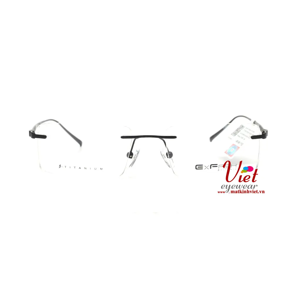 Gọng kính Exfash EF38282T 838