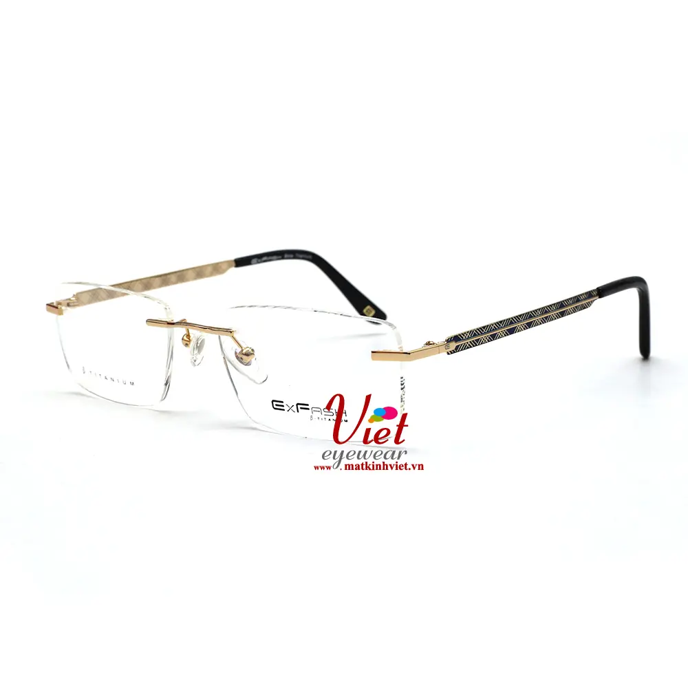 Gọng kính Exfash EF87277T 824