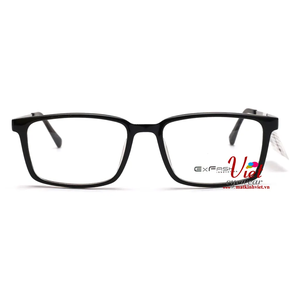 Gọng kính Exfash EF18571 D9