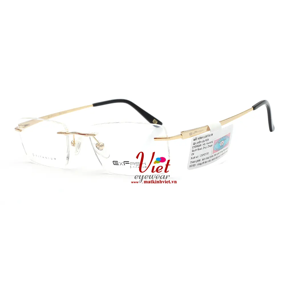 Gọng Kính Exfash EF87279T 901