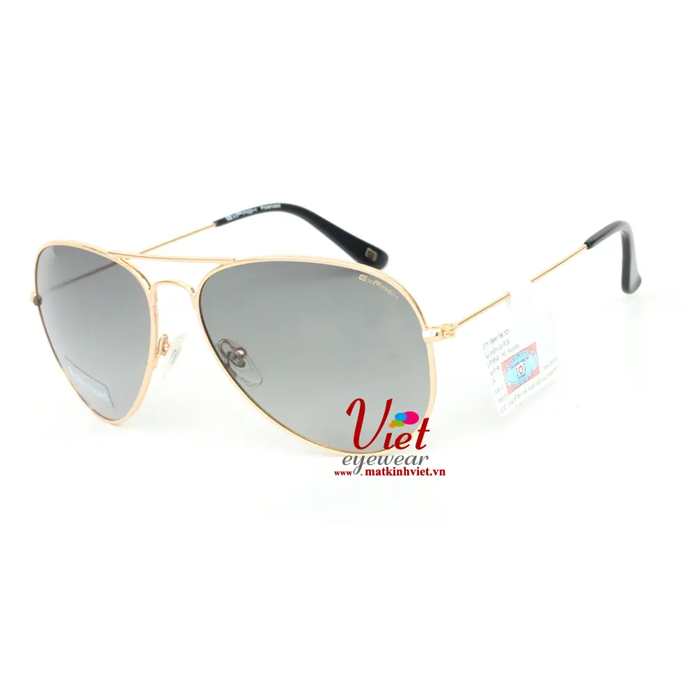 Kính mát Exfash EF4025 C02
