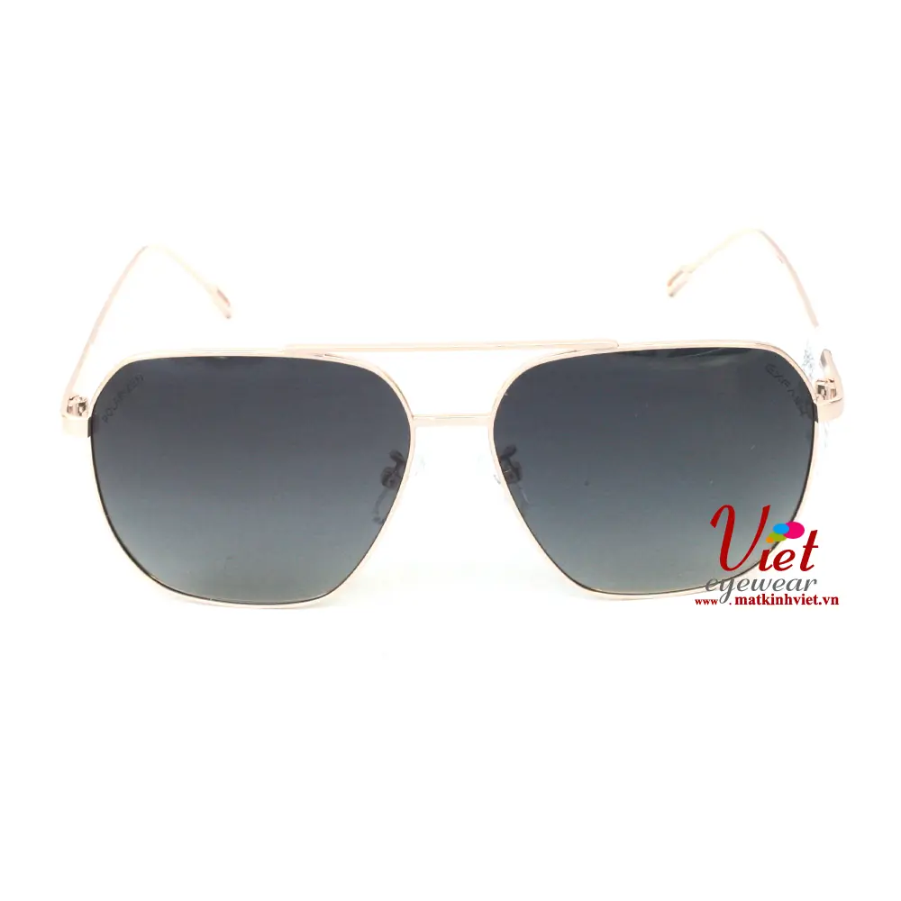 Kính mát Exfash EF27984 C83