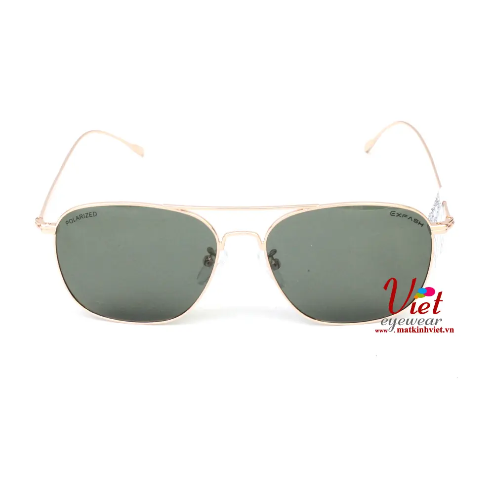 Kính mát Exfash EF27982 C88