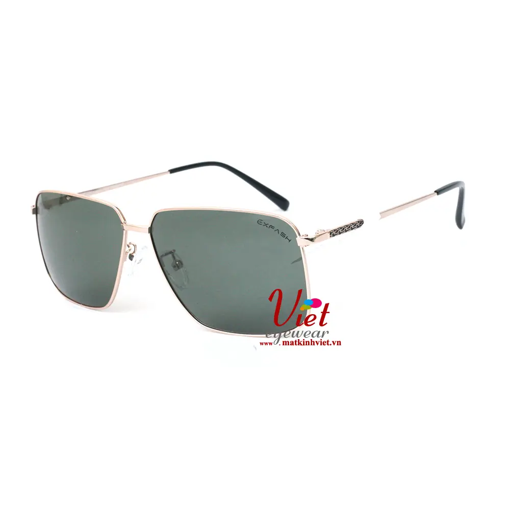 Kính Mát Exfash EF27981 C88
