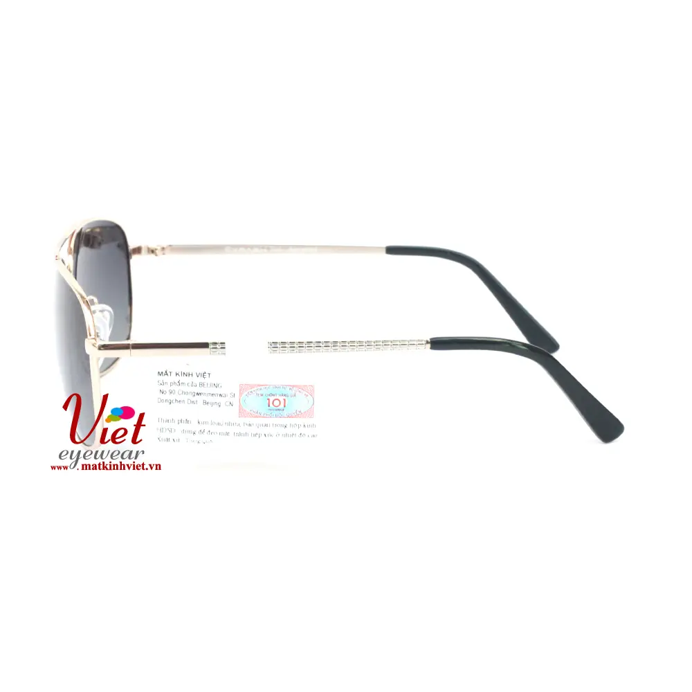 Kính mát Exfash EF26915 C82