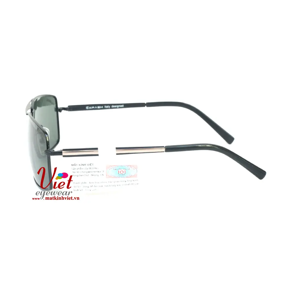 Kính mát Exfash EF6912 C42