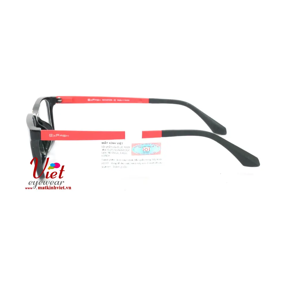 Gọng kính Exfash EF6478 BLKMORG