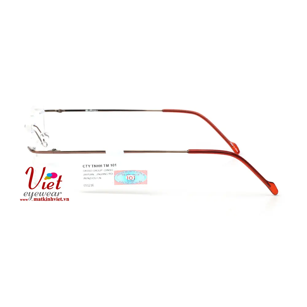 Gọng kính Exfash EF76226T 051