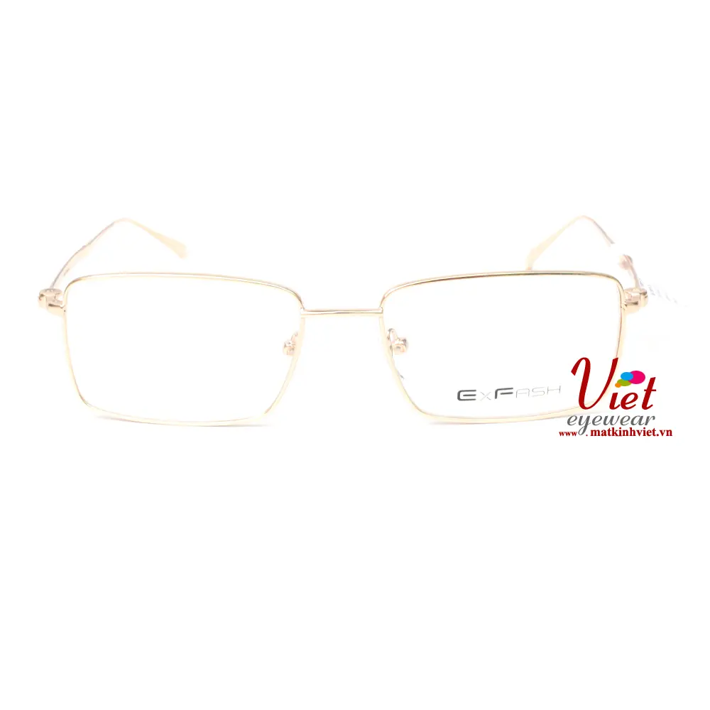 Gọng kính Exfash EF36591 973