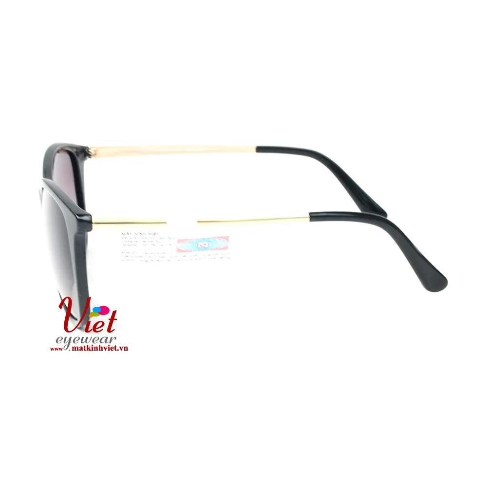 Kính mát Exfash EF6950 C10