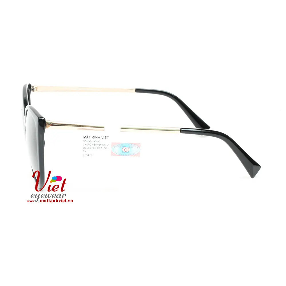 Kính mát Exfash EF26919 C01