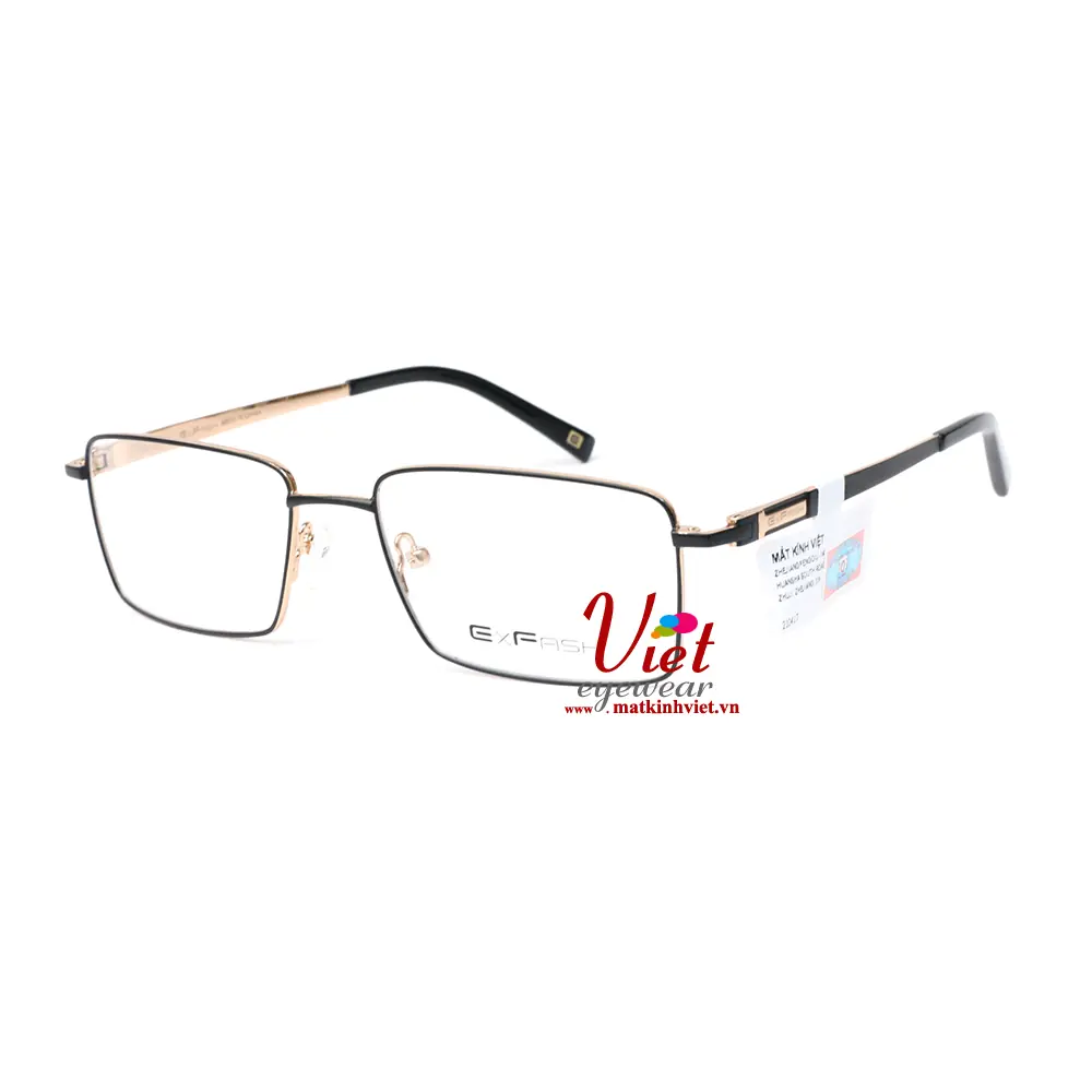 Gọng Kính Exfash EF6584 953