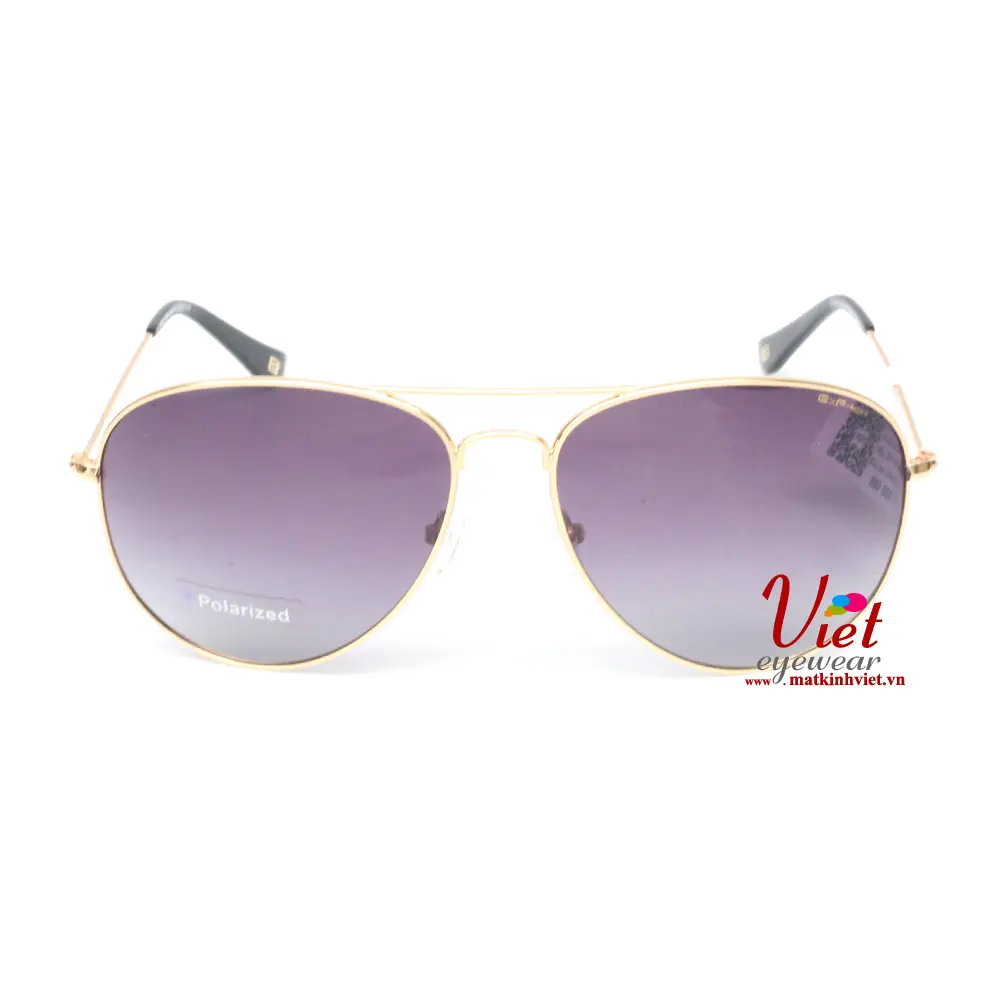 Kính mát Exfash EF4026 C04