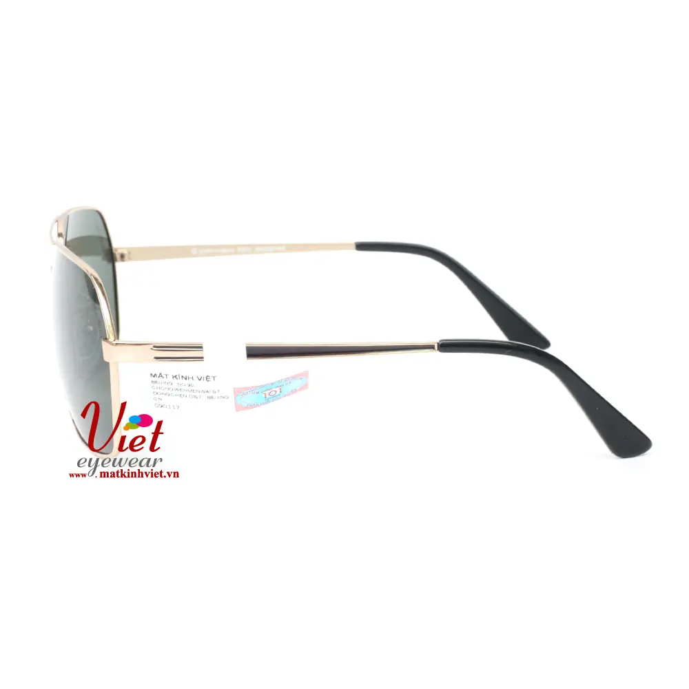 Kính mát Exfash EF5973 C02
