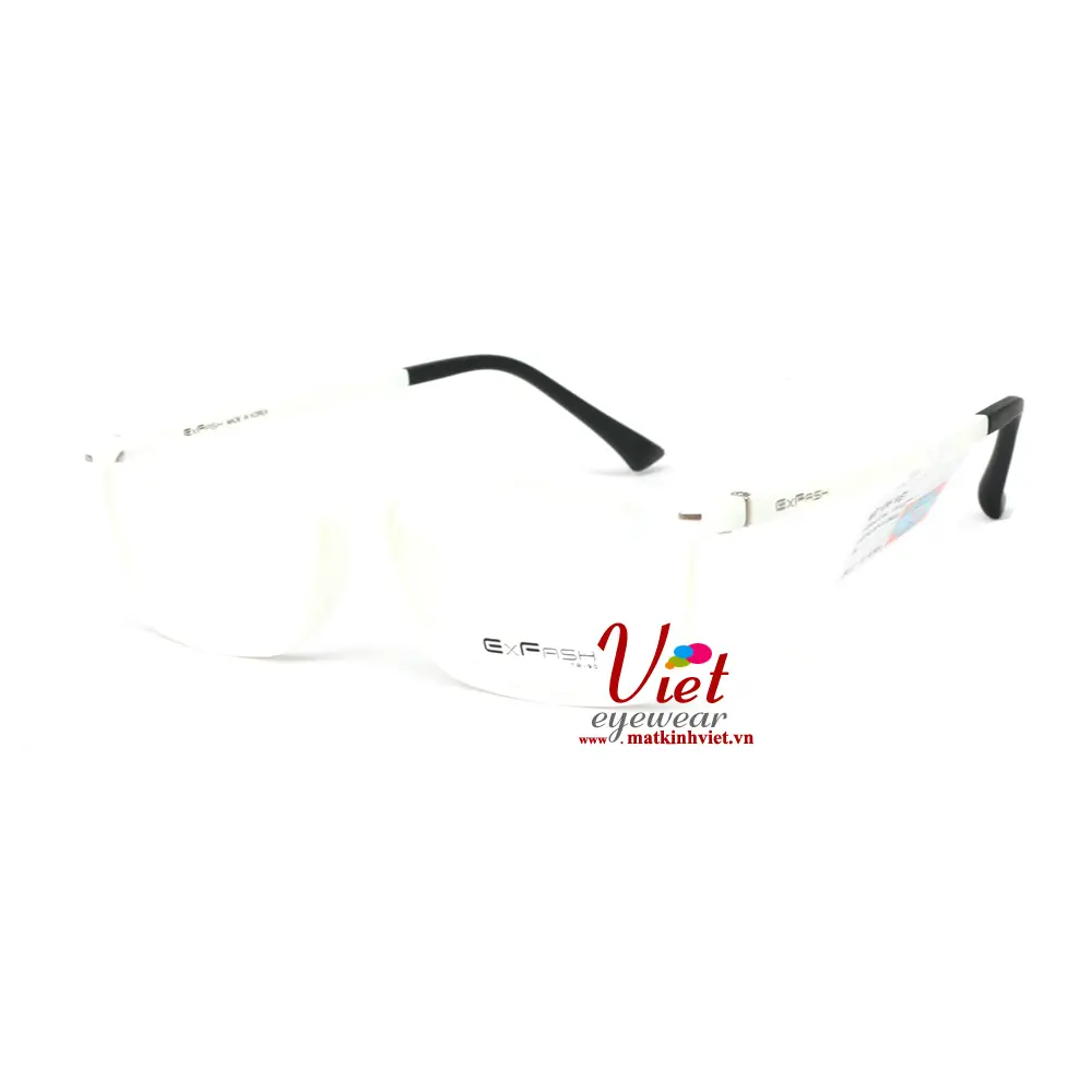 Gọng Kính Exfash EF6472 303
