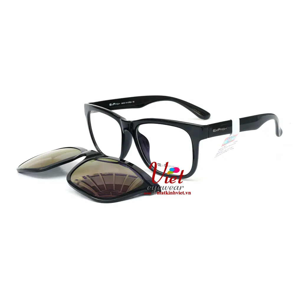Gọng kính Exfash EF5473 0016C0015