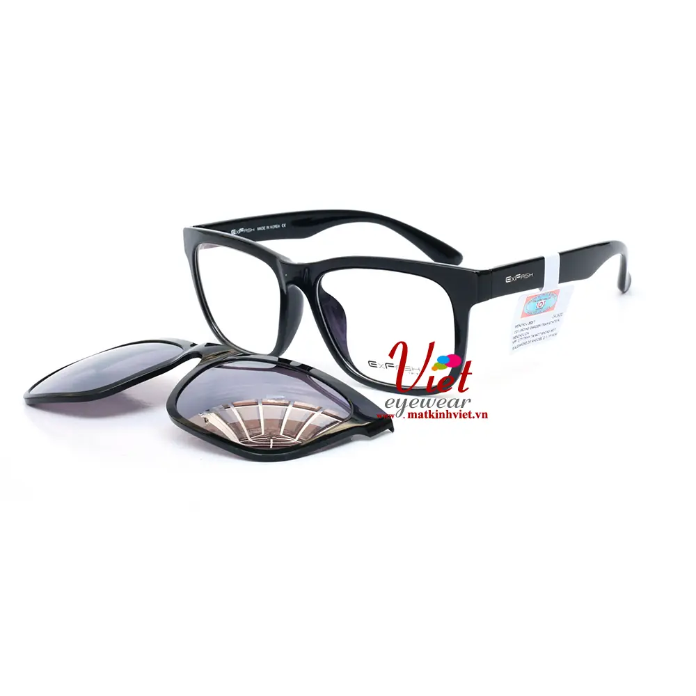 Gọng Kính Exfash EF5473 0016C0014