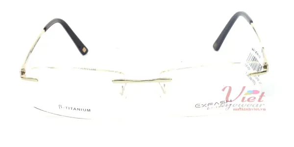 Gọng kính Exfash EF1273T 202