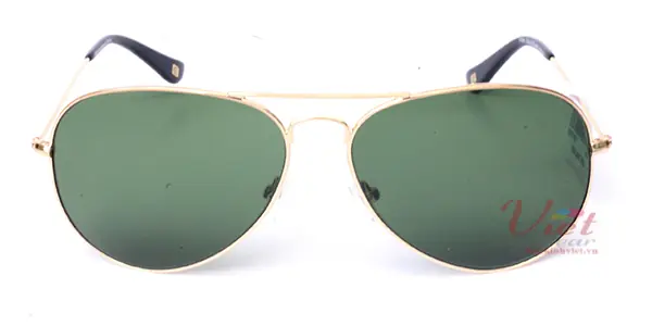 Kính mát Exfash EF4025 C33