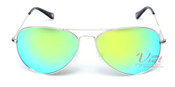 Kính mát Exfash EF4025 C28