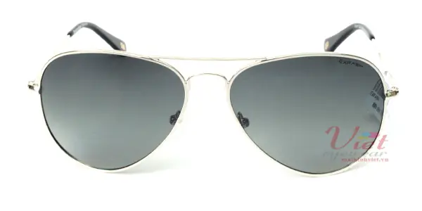 Kính mát Exfash EF4025 C22