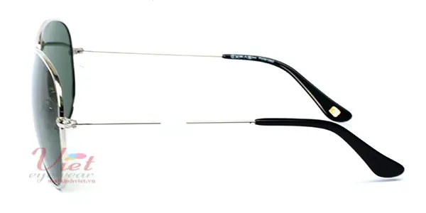 Kính mát Exfash EF4025 C21