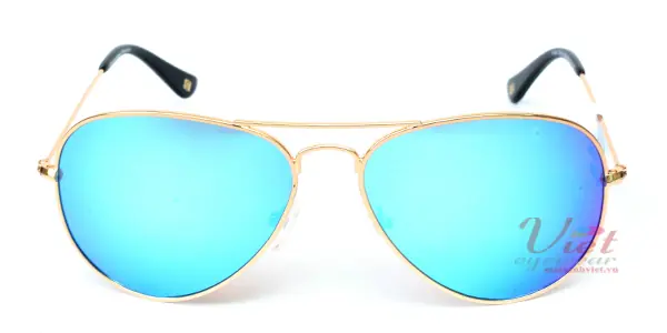 Kính mát Exfash EF4025 C11