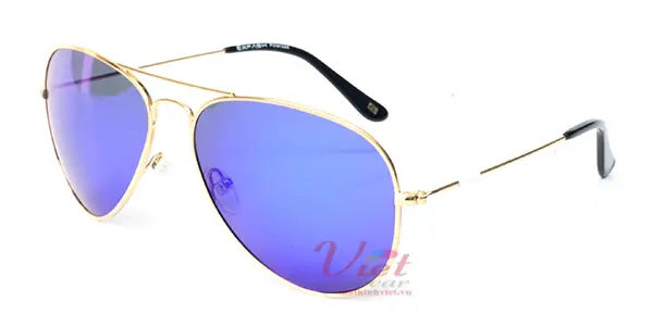Kính mát Exfash EF4025 C10