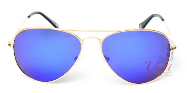 Kính mát Exfash EF4025 C10