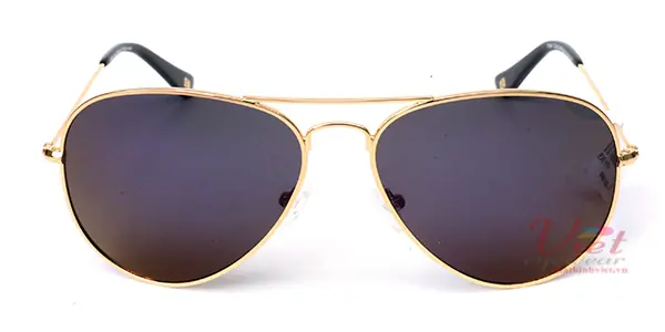 Kính mát Exfash EF4025 C09