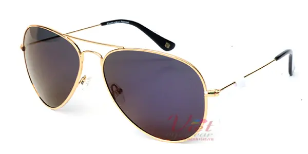 Kính mát Exfash EF4025 C09