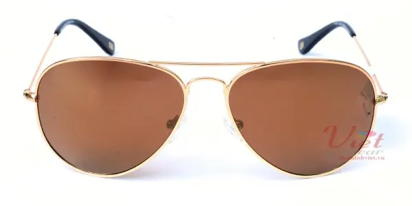 Kính mát Exfash EF4025 C07