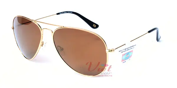 Kính mát Exfash EF4025 C07