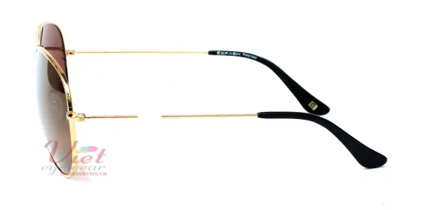 Kính mát Exfash EF4025 C07