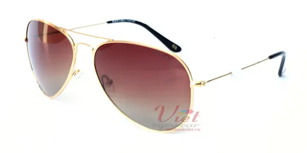 Kính mát Exfash EF4025 C06