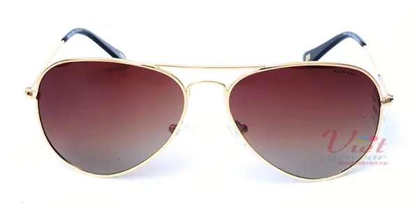 Kính mát Exfash EF4025 C06