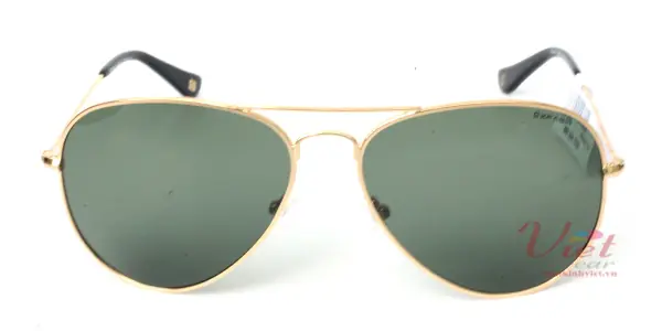 Kính mát Exfash EF4025 C01