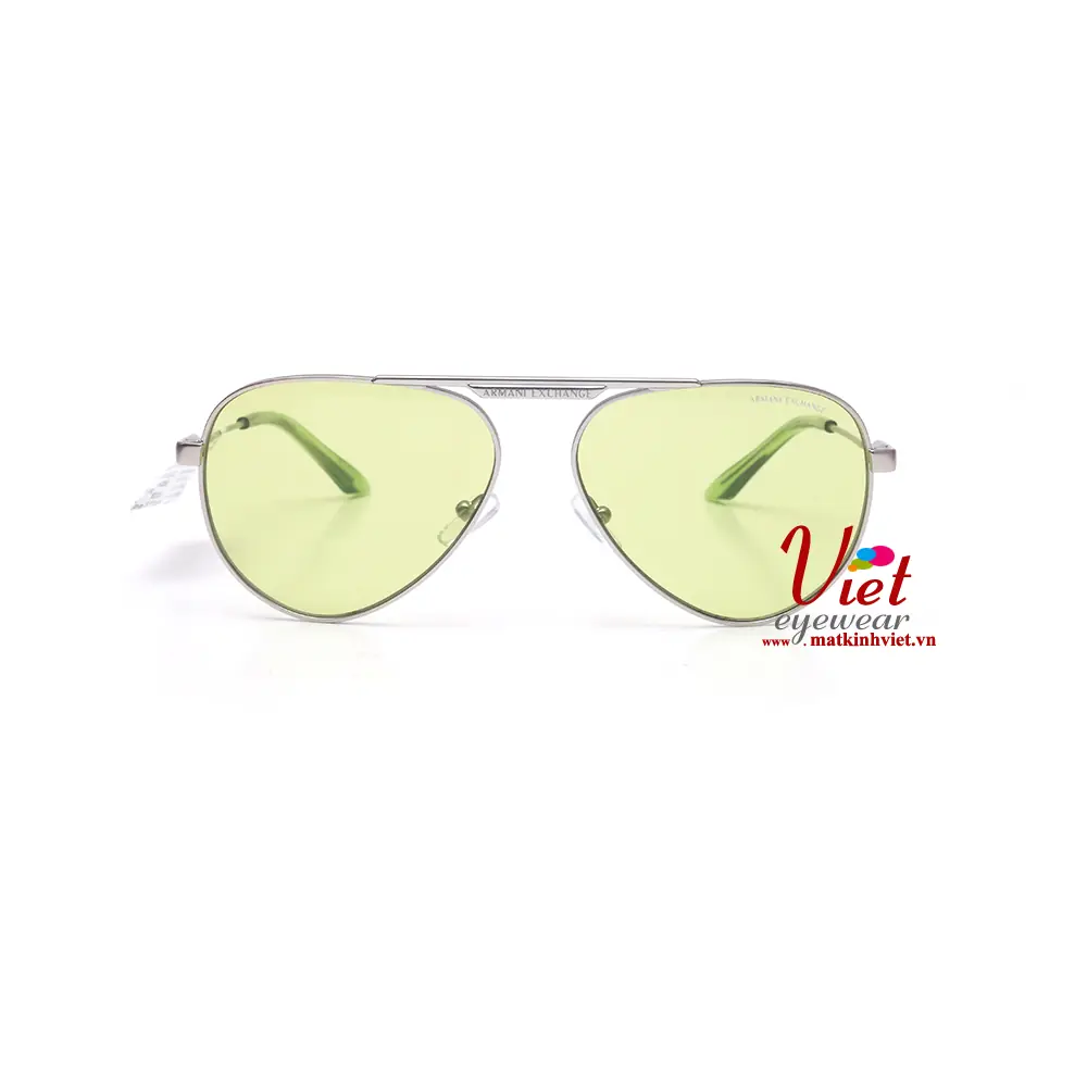 Kính mát Armani Exchange AX2060S 6020/2