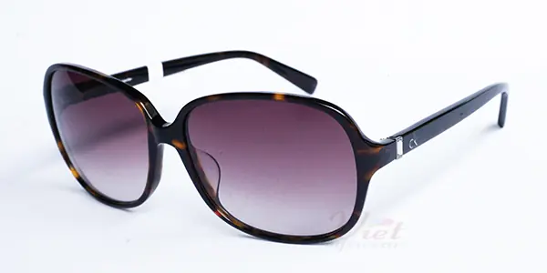 Kính mát Calvin Klein CK4193S 004