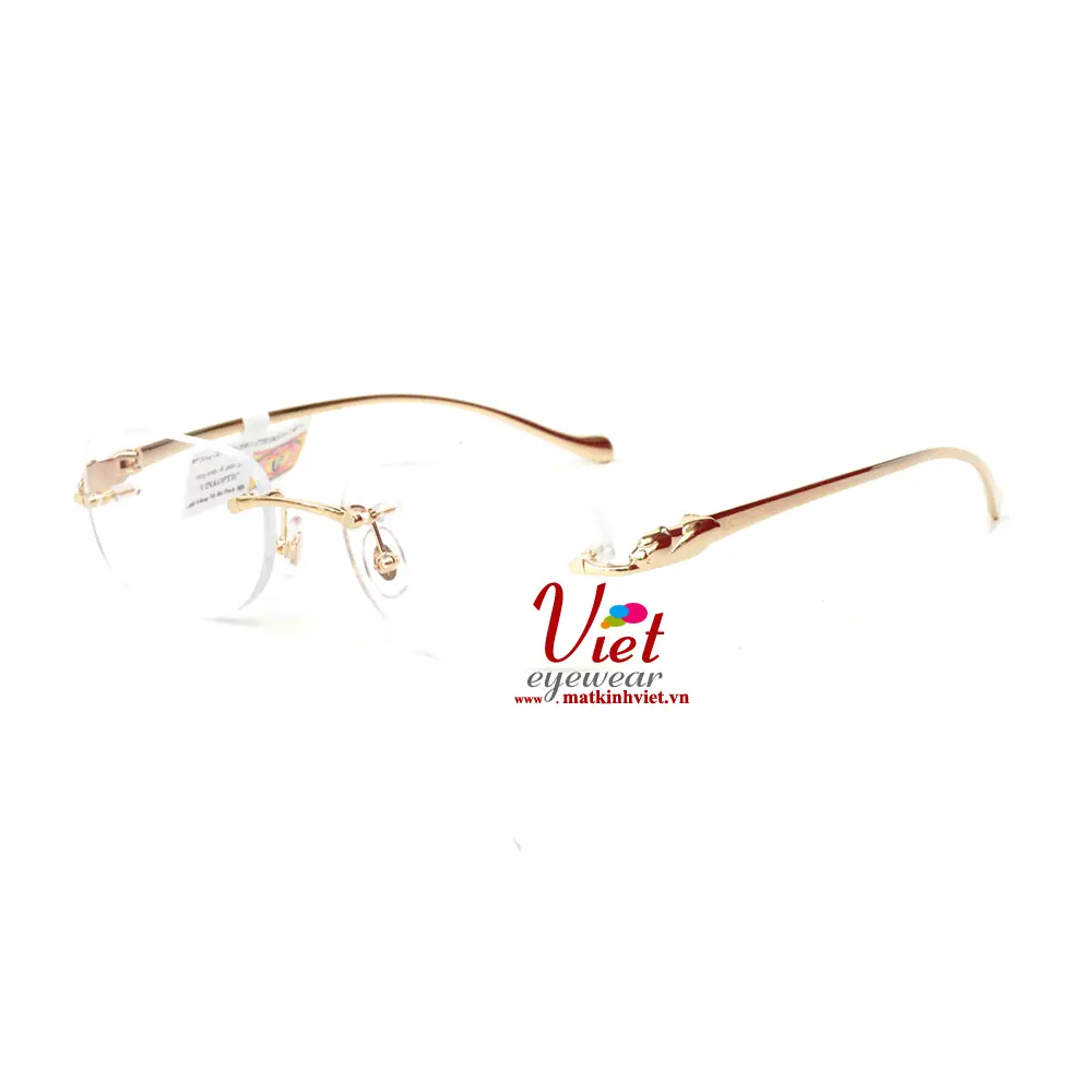 Gọng Kính Cartier CT0058O 002-T8100911