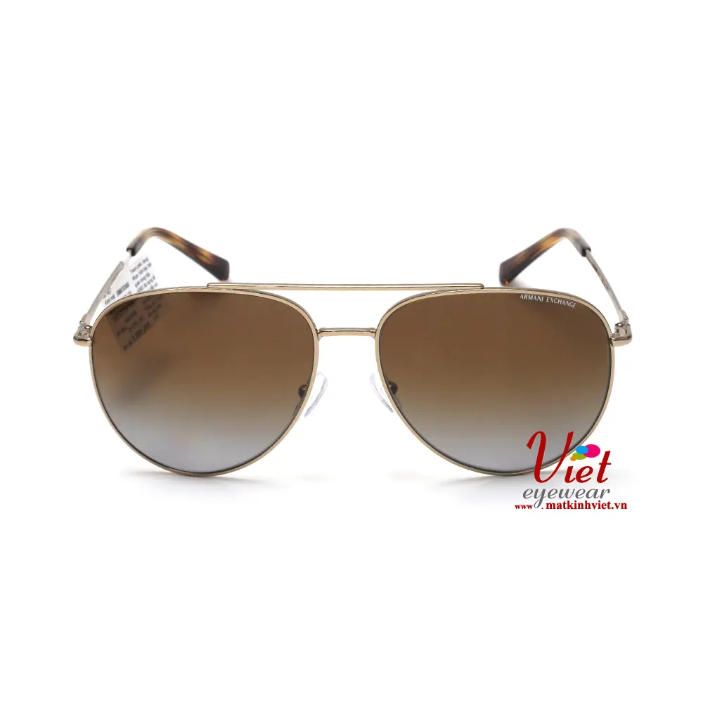 Kính mát Armani Exchange AX2043S 6110-T5