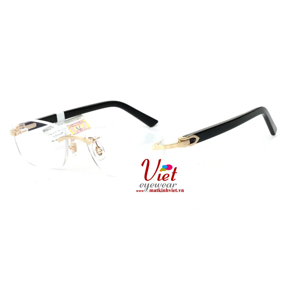Gọng kính Cartier CT0048O 002-T8100177