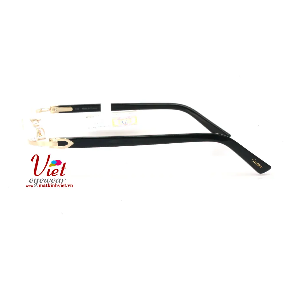 Gọng kính Cartier CT0048O 002-T8100177