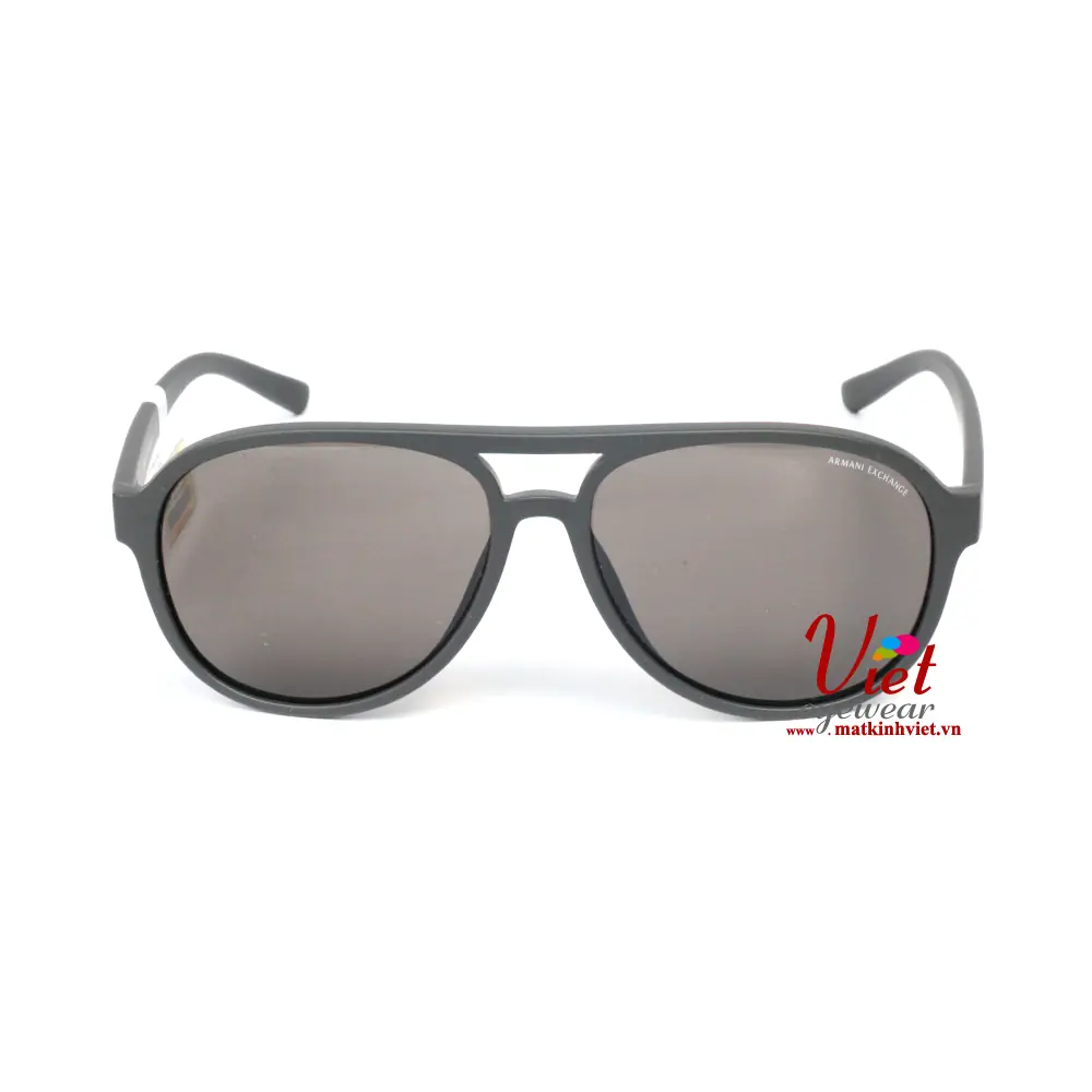 Kính mát Armani Exchange AX4055SF 8194/73