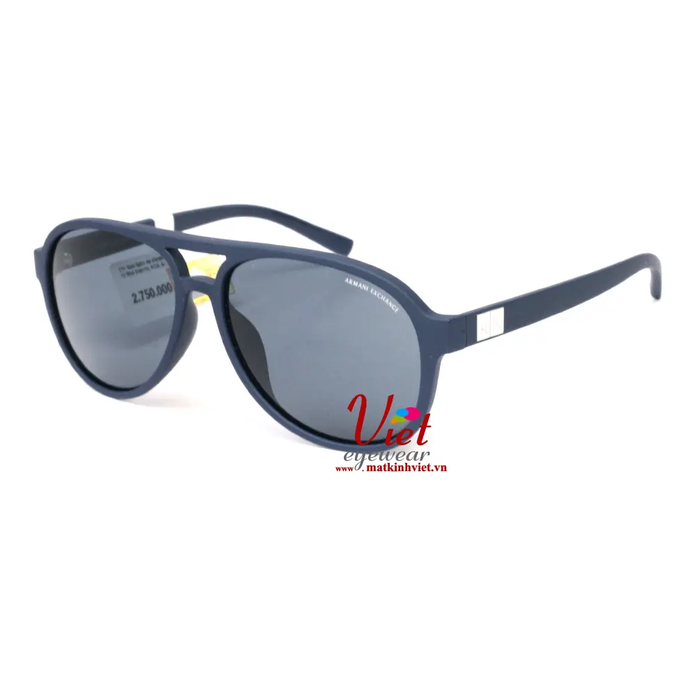 Kính Mát Armani Exchange AX4055SF 8157/87