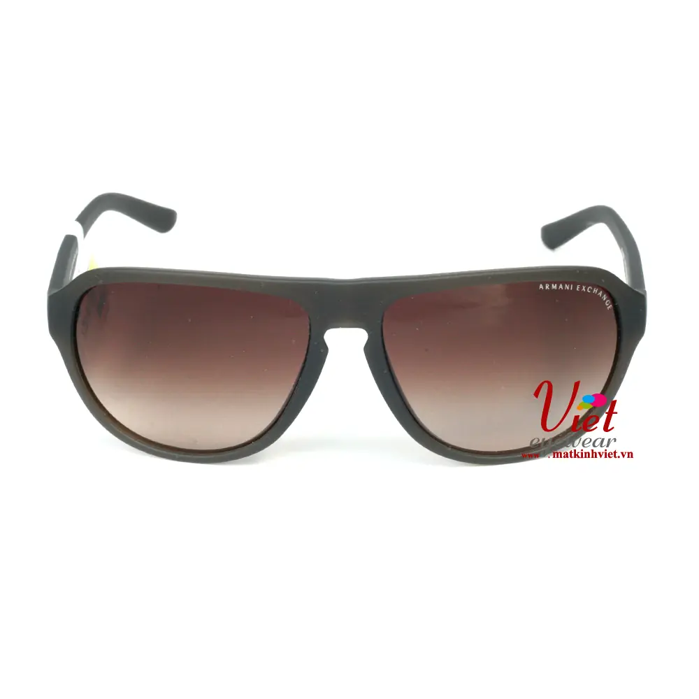 Kính mát Armani Exchange AX4028SF 8113/13