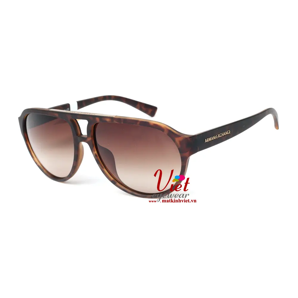 Kính mát Armani Exchange 4042SF 8029/13
