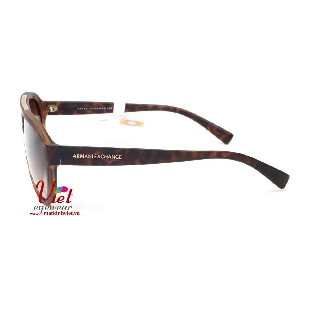Kính mát Armani Exchange 4042SF 8029/13