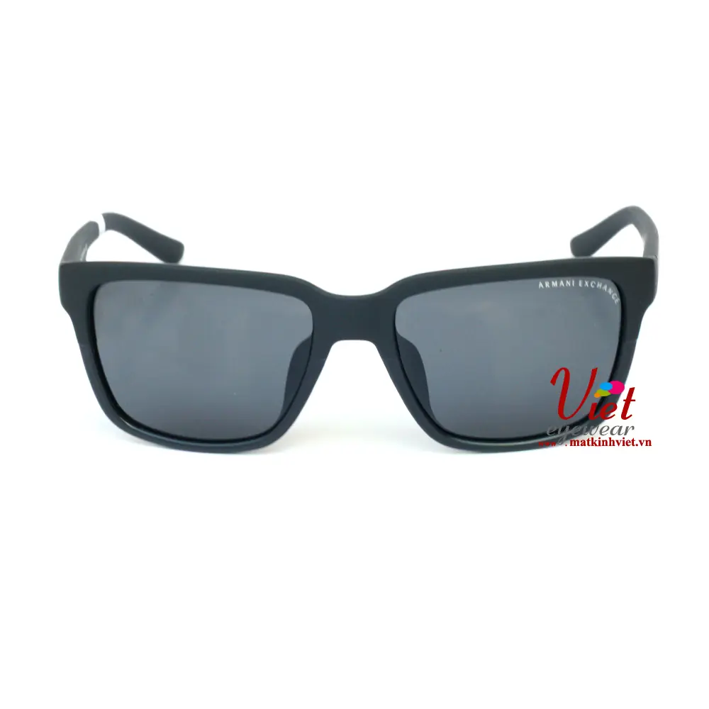 Kính mát Armani Exchange AX4026SF 812287