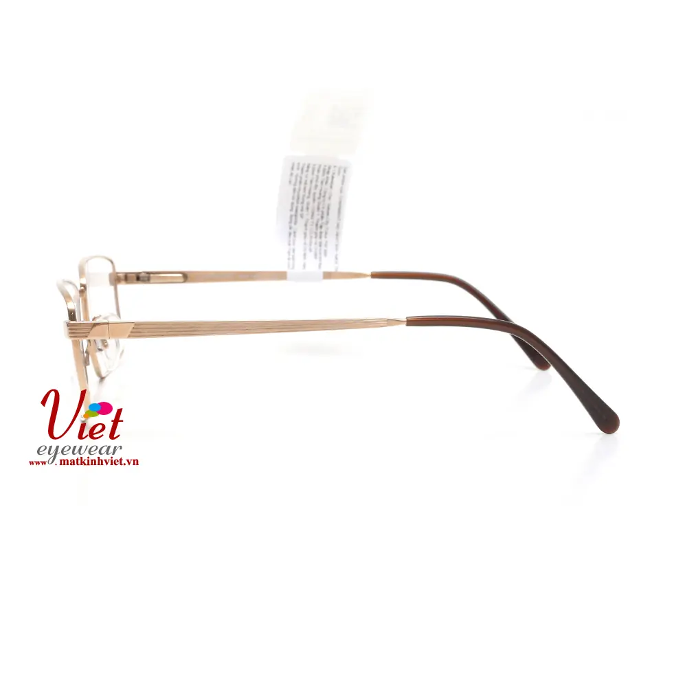 Gọng kính Charmant CH16110 GP